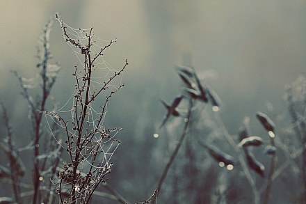 Cold, rain, chance of frost and temperatures close to 0°C: check the weather forecast