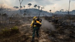 Man arrested for starting 'worst fire in history' in Madrid region