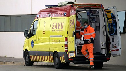 Driver runs over blind man with guide dog in DF and flees without providing assistance