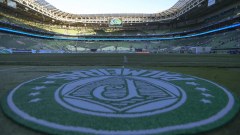 Palmeiras has an agreement with Cameroonian striker who shone in training