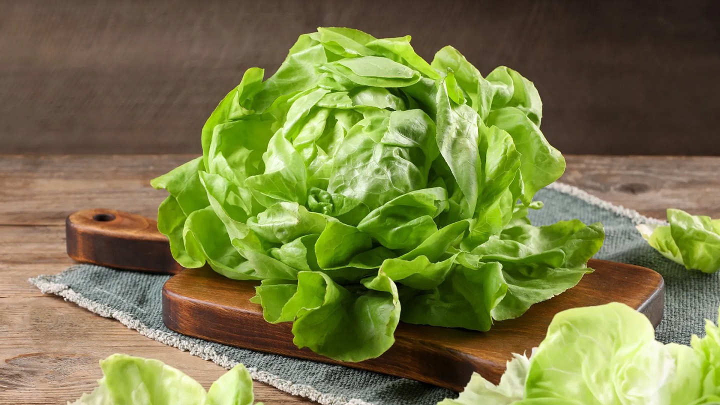 Five tips to help lettuce last longer in the fridge