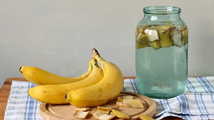 5 natural remedies that help soothe insect bites