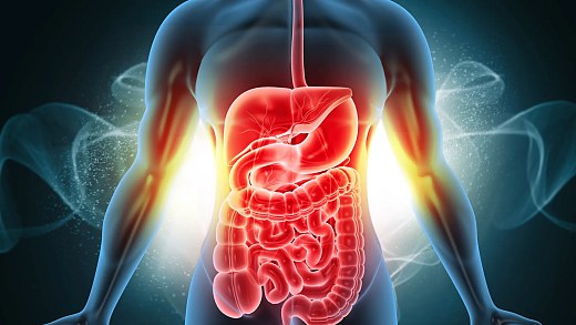 Rice or pasta? Doctors reveal which is better for the intestine