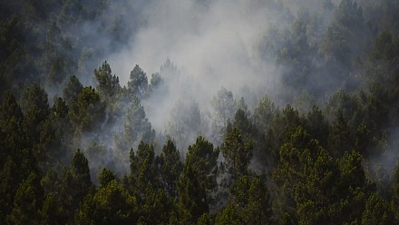 Incêndio na Espanha queima 13 mil hectares e expulsa centenas de casa