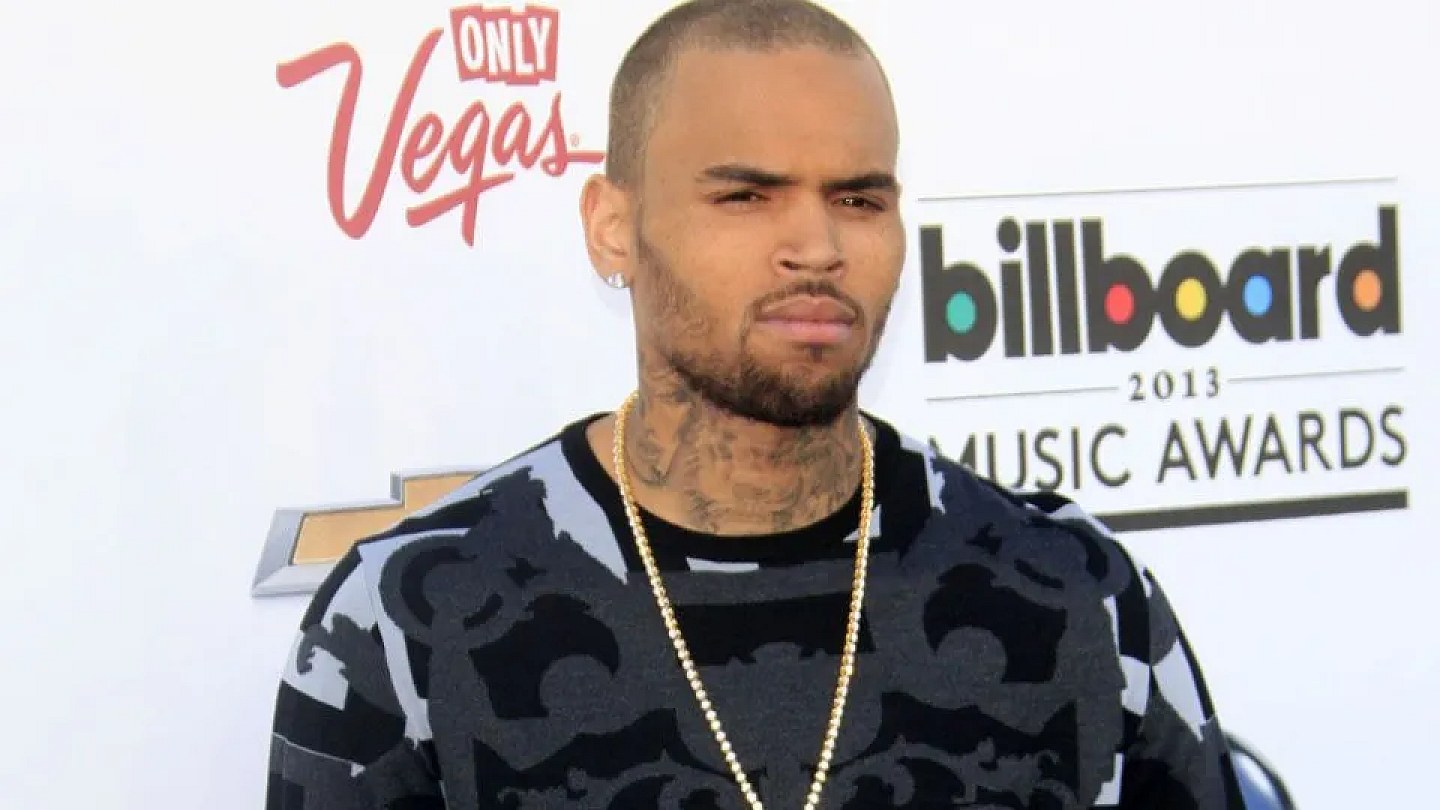 Chris Brown sentenced after dog attack disfigures employee