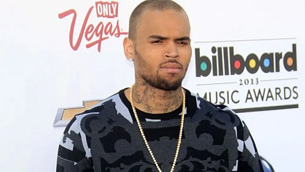Chris Brown sentenced after dog attack disfigures employee