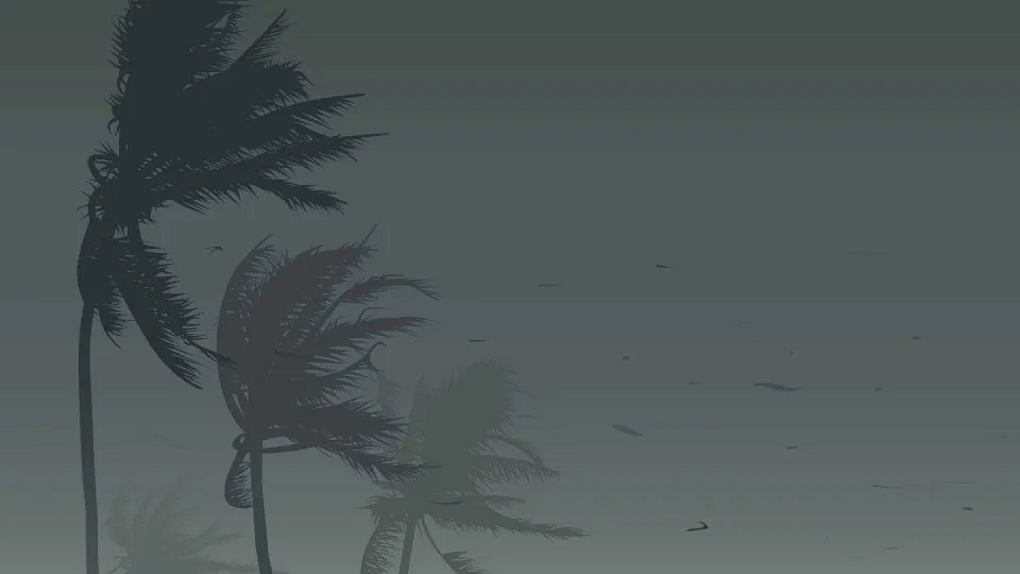 Gusts of winds of up to 125 km/h leave 3 dead in SP and 2 in Rio