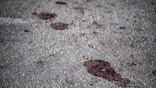 PM foi morto por quadrilha que rouba motoristas na marginal Tietê, aponta investigação
