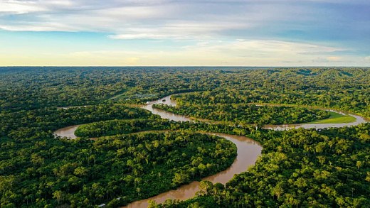 Deforestation alerts in the Amazon fall to the lowest level in the historical series