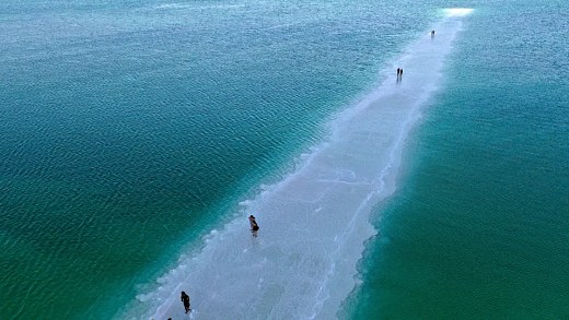 The Dead Sea is coming back to life – Is this a bad sign?