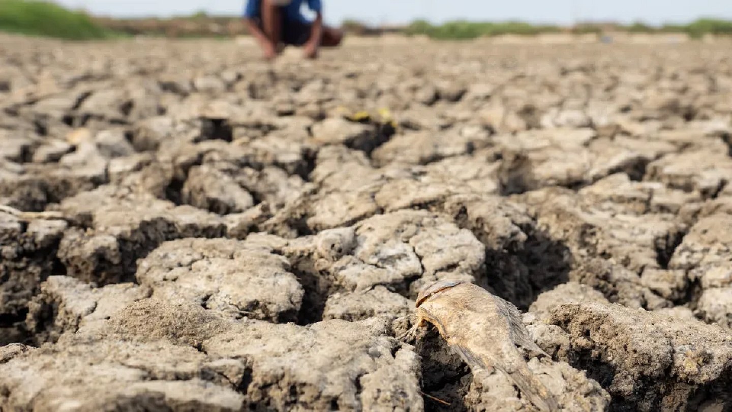 Efeitos do El Niño no Brasil vão além dos alimentos e devem atingir energia, transportes e varejo