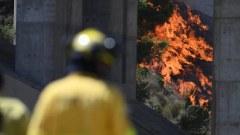 Europe faces new heat wave, fires and rise in food prices