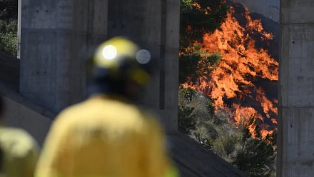 Europe faces new heat wave, fires and rise in food prices