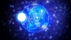 Lion's Gate in 8/8: see which signs may be most favored