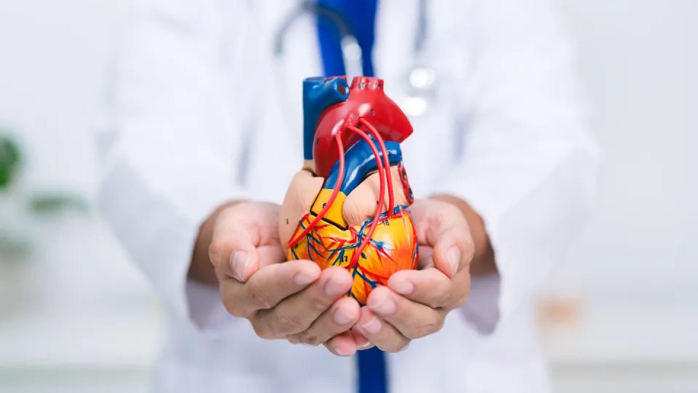 Cardiologistas destacam alimento que pode ajudar a proteger o coração