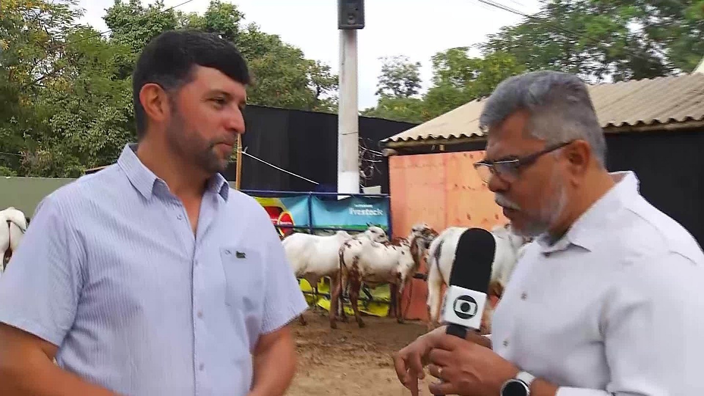 VIDEOS: Inter TV Rural this Sunday, July 12, 2026