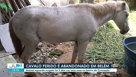 VÍDEOS: JL2 de terça-feira, 14 de julho de 2026