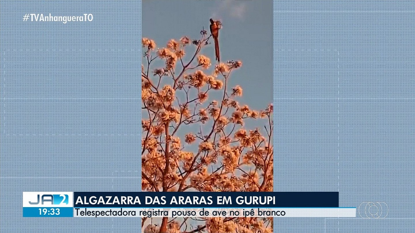 VIDEOS: Jornal Anhanguera 2nd Edition-TO of Tuesday, July 21, 2026