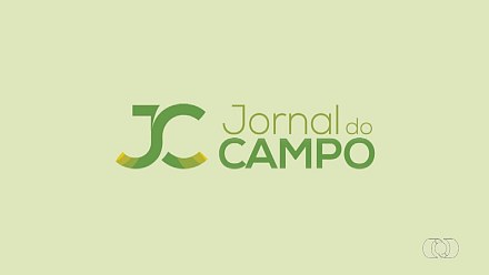 VÍDEOS: Jornal do Campo - TO de domingo, 19 de julho de 2026